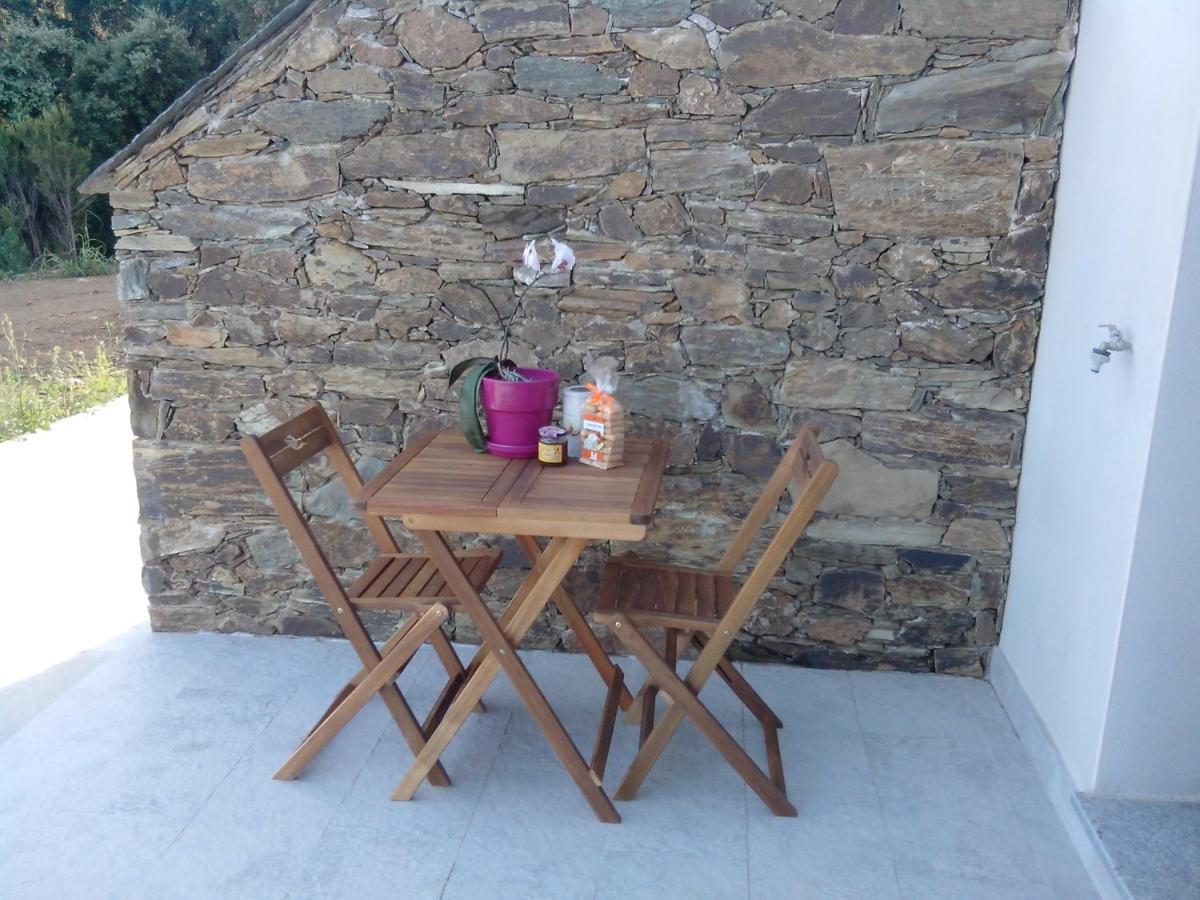Appartement Vue Sur Mer Santa-Maria-di-Lota Exterior foto